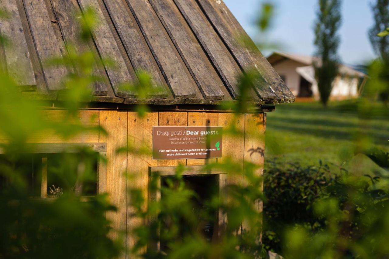 Glamping Kolpa Resort Gradac Eksteriør bilde